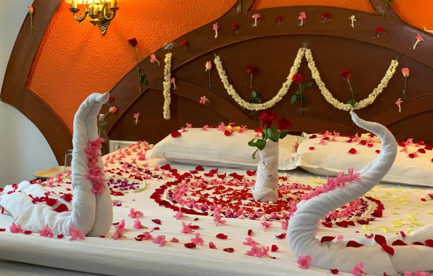 Honeymoon Packages in Ooty