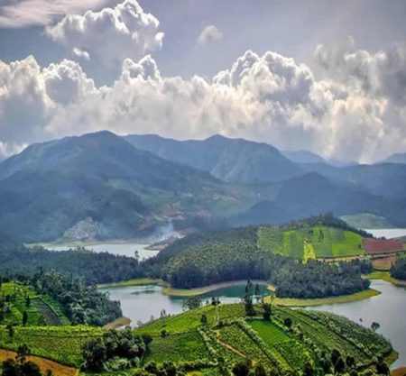 A Romantic Getaway: Your Ultimate Guide to a Honeymoon in Ooty’s Enchanting Rose Garden from Thiruvananthapuram”